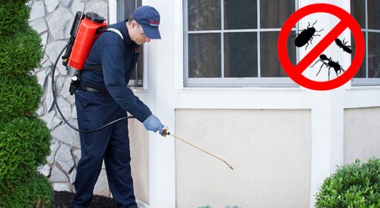Gümüşova Dezenfeksiyon böcek ilaçlama ve haşere kontrolü — ilaclama-tr.com